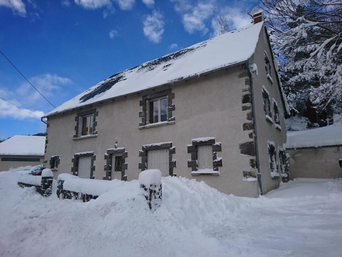 Les Appartements de Véronique Besse-et-Saint-Anastaise Extérieur photo